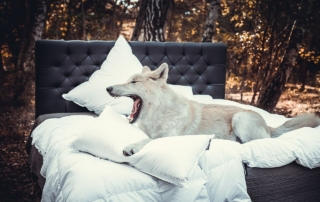 obb, sængur, black forest